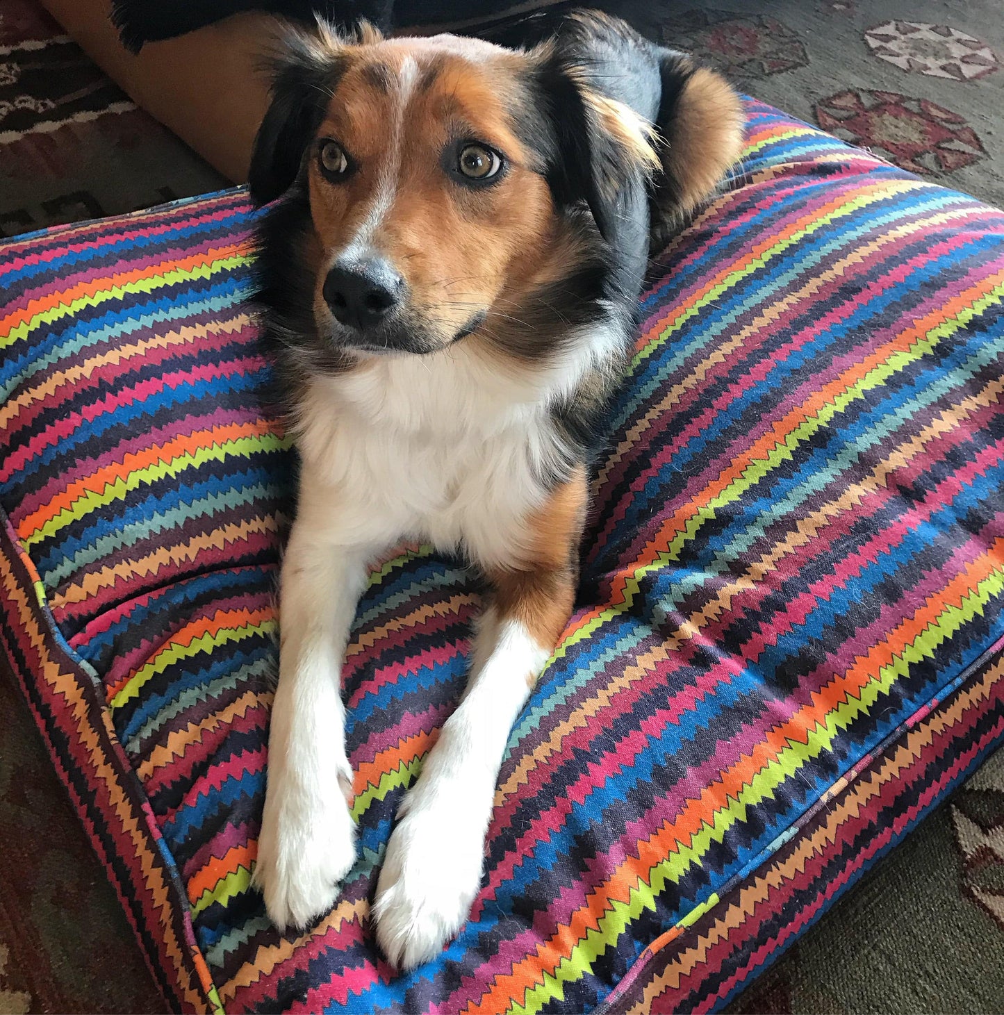 Canvas Pet Bed - ZIGZAG - Fabric Junkies